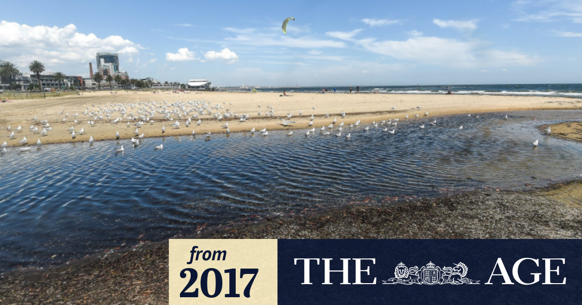 Melbourne beaches safe for swimming again